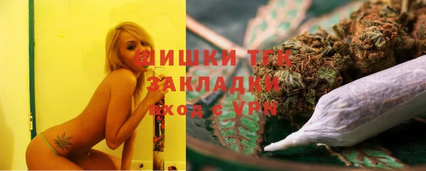 индика Алексеевка