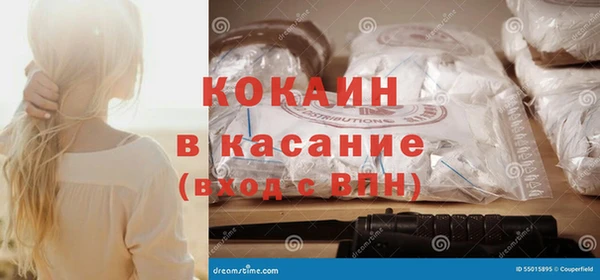 индика Алексеевка