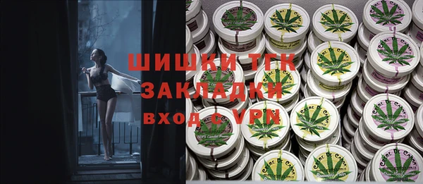 индика Алексеевка