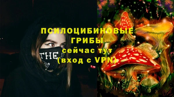 индика Алексеевка