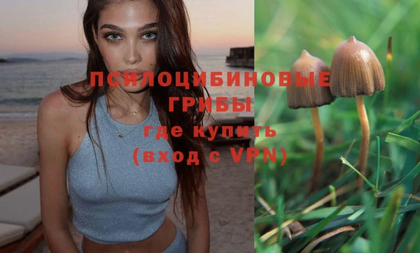 винт Алексин